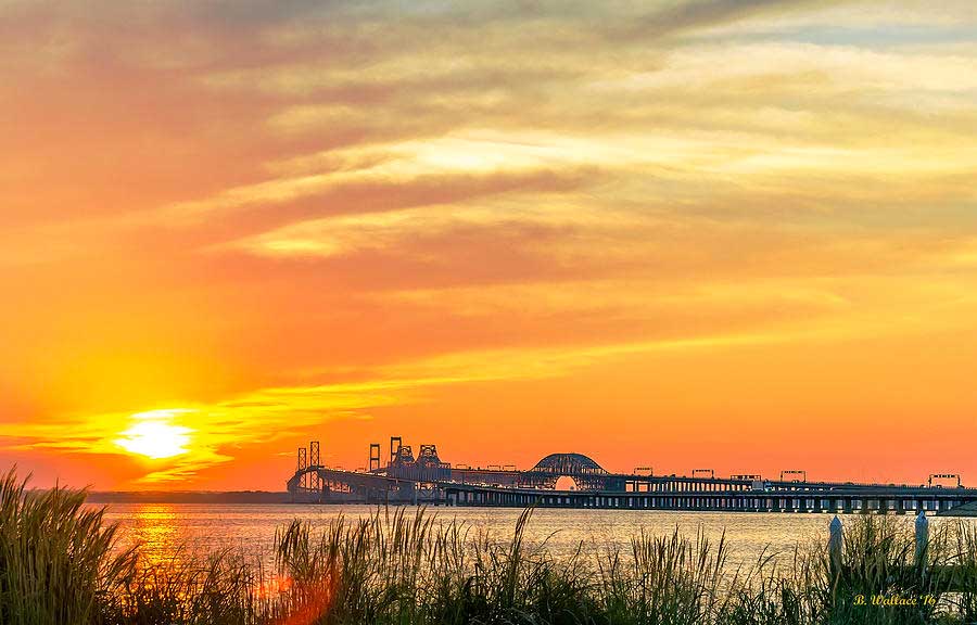 Bay Bridge Marina