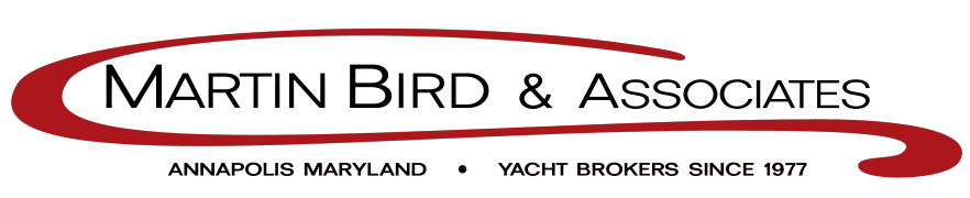 martin-bird